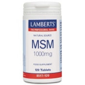Lamberts MSM 1000mg 120TABS